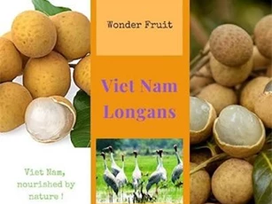 Xây dựng thương hiệu nhãn Việt Nam tại Úc cho doanh nghiệp XK tham gia