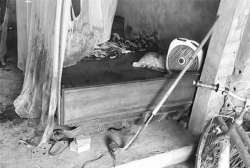 Bắc Giang: Chú ruột nghi trầm cảm, cầm dao chém cháu trai 12 tuổi trọng thương