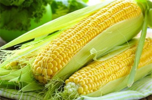 Luộc ngô chỉ cần thả thêm thứ này vào, đảm bảo hạt ươm căng mọng lại ngon ngọt bất ngờ