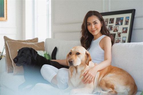 Giàu nứt đố đổ vách, Hà Tăng vẫn uống thứ rẻ tiền này để giữ dáng, trẻ đẹp như "gái còn son"