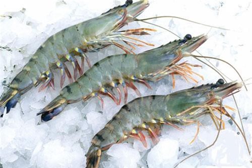 Thêm một bước này, tôm sẽ tươi ngon, không mất chất dù để tủ lạnh cả tháng