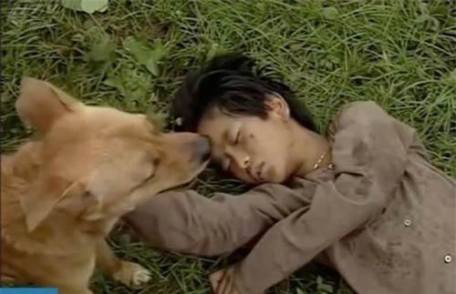 Bé An 'Đất phương Nam' và ký ức khi được chó Phèn cứu sống trong phim