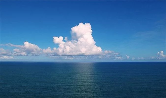 Khám phá sốc không phải ai cũng biết về loài mèo (1) - Hình 7 Kham pha soc khong phai ai cung biet ve loai meo (1)-Hinh-7