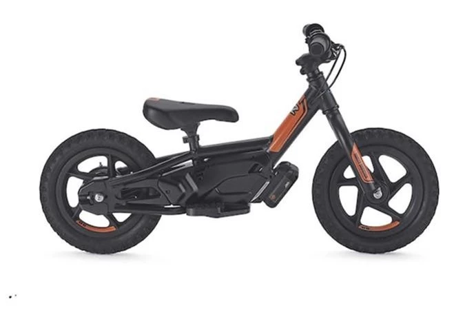 Xe điện Harley-Davidson IRONe chỉ 15,2 triệu đồng - Hình 2 Xe dien Harley-Davidson IRONe chi 15,2 trieu dong-Hinh-2