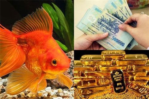 4 "giấc mộng vàng" là điềm báo thần Tài đang "vẫy tay" chào đón, may mắn dồn dập đến nhà