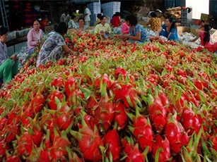 Phát triển xuất khẩu nông thủy sản sang thị trường Trung Quốc