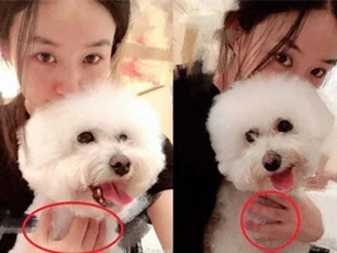 Triệu Lệ Dĩnh khoe series ảnh mặt mộc nhưng câu hỏi lớn nhất của netizen lại là "Nhẫn cưới đâu rồi?"