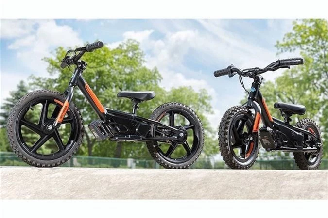 Mới đây, hãng xe môtô danh tiếng Mỹ - Harley-Davidson vừa bất ngờ giới thiệu tới công chúng trên toàn thế giới bộ đôi xe điện "nhí" dành cho các em nhỏ với tên gọi thương mại Harley-Davidson IRONe12 và Harley-Davidson IRONe16.