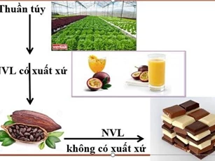 Tận dụng ưu đãi từ CPTPP: Khuyến nghị với doanh nghiệp qua ví dụ "kinh điển" về quy tắc xuất xứ