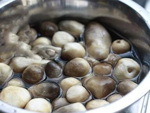 Thêm thứ này vào rồi rửa nấm, đảm bảo bụi bẩn đến mấy cũng bị "gỡ" sạch bong ra hết