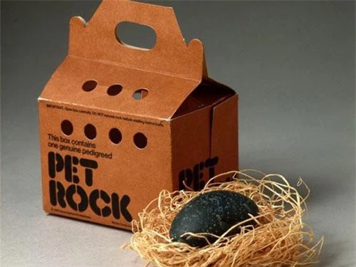Gary Dahl là một giám đốc quảng cáo. Năm 1975, sau khi nghe bạn bè nói về những nguy hiểm khi chăm sóc thú cưng thì ông đã nảy ra một ý tưởng điên rồ mang tên Pet Rock – một loại thú cưng bằng đá.