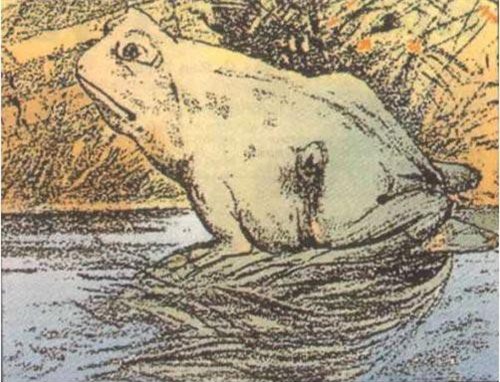 80% người không thể nhìn thấy con ngựa trong bức ảnh này