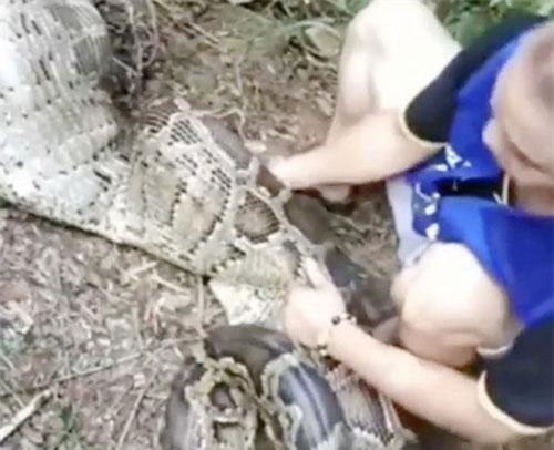 20 con dê lần lượt mất tích, đi tìm thấy cảnh rợn người