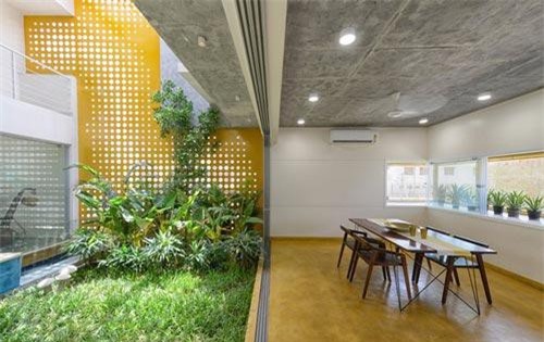 Ngôi nhà mát mẻ quanh năm nhờ có “vườn đặt trong nhà”