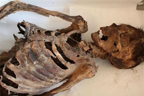 Phát hiện mới về xác ướp 1.000 năm đi "giày Adidas"