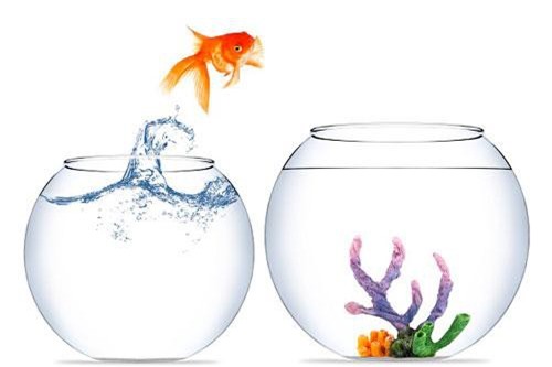 Muốn cuộc sống trở nên hạnh phúc, may mắn hơn bạn cần khắc ghi những điều thiết thực này