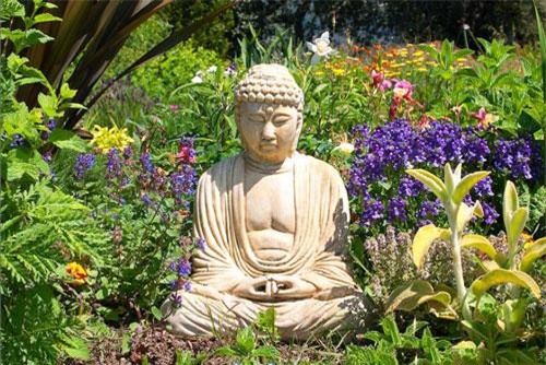 Môn đồ hỏi "Nghiệp là gì" và câu trả lời của Đức Phật khiến muôn người thức tỉnh