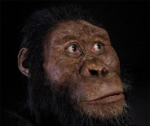 Quá bất ngờ diện mạo tổ tiên lâu đời nhất loài người