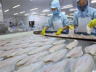 Xuất khẩu cá tra sang Malaysia tăng 25%