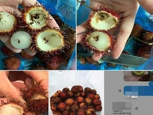 Mua chôm chôm online ở cửa hàng nổi tiếng, mẹ trẻ gặp cảnh thối 9/10 quả, nhưng tệ nhất là thái độ của nhân viên