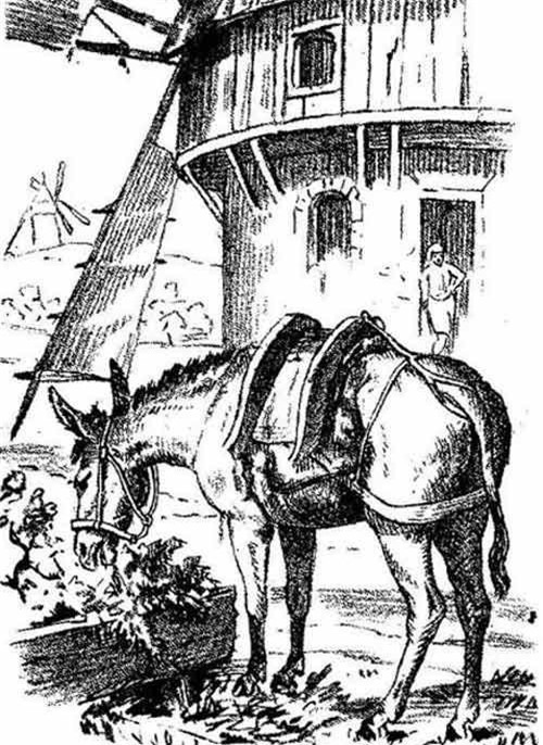 Bạn có thể tìm được gương mặt một người trong bức ảnh này?