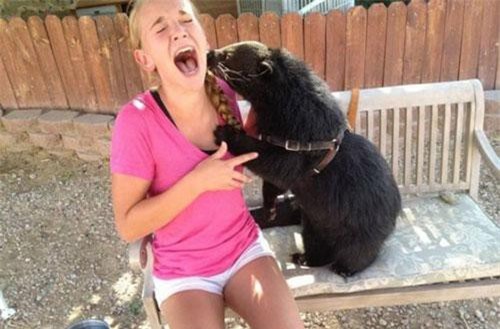 Ảnh hài hước: Khoảnh khắc khó đỡ của chị em khi bất ngờ bị động vật troll