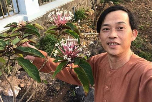 Sự kỳ lạ của nghệ sĩ Hoài Linh