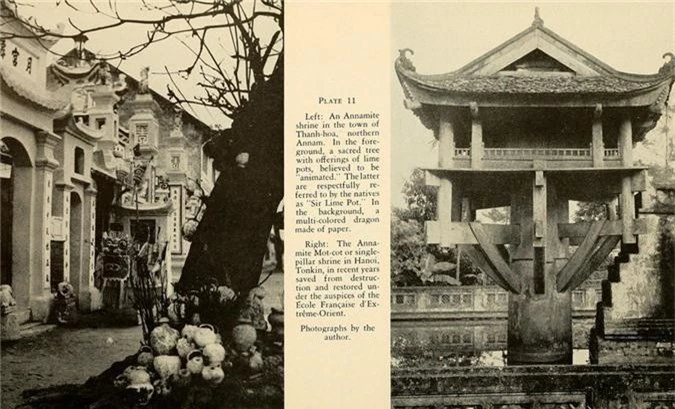 La lung xu Dong Duong nam 1944 qua sach anh cua My-Hinh-9