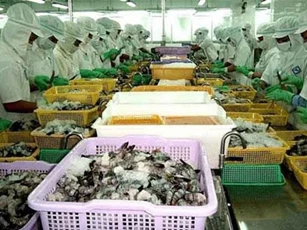 EVFTA mang đến những cơ hội nào cho con tôm Việt?