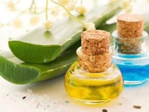 Bật mí cách làm kem chống nắng từ nha đam siêu đơn giản