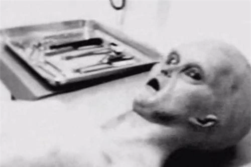 Sinh vật lạ nghi là người ngoài hành tinh trong bức ảnh mà Tom Carey công bố.