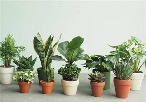 Những lỗi phong thủy “đuổi” Thần Tài ra khỏi ngõ, làm ăn thất bại