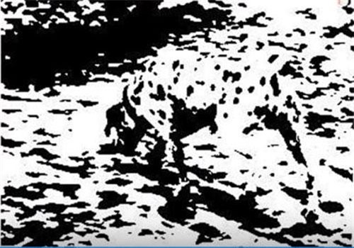 'Hoa mắt chóng mặt' với 7 câu đố thử thách độ tinh mắt của bạn