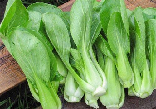 Điểm danh những loại thực phẩm kỵ thịt gà chị em cần biết