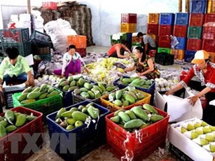 Giá trị xuất khẩu rau quả của Việt Nam 8 tháng qua giảm gần 6%