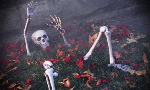 Giật mình những thứ rùng rợn phát hiện phía sau nhà