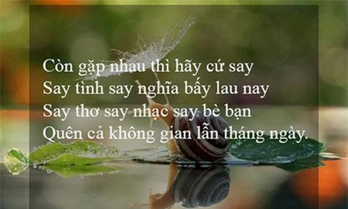 10 triết lý nhân sinh cần biết để trở thành người hạnh phúc