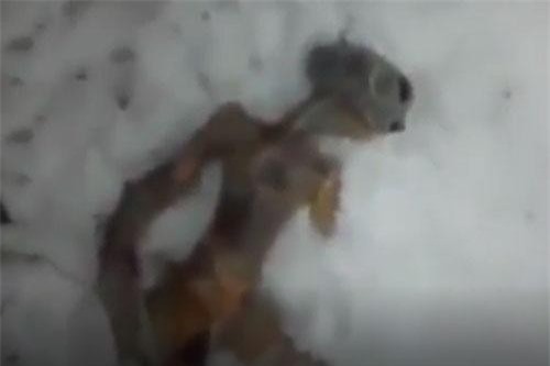 CLIP HOT (13/9): Phát hiện xác người ngoài hành tinh chết cóng ở Nga, chân dung ‘cô gái trong mơ’ của đàn ông Thái Lan