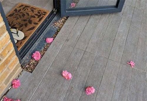 Mèo mang hoa tặng hàng xóm mỗi ngày "đốn tim" bao người