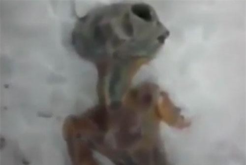 CLIP: Thực hư việc phát hiện xác người ngoài hành tinh chết cóng ở Nga