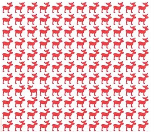 "Nhức mắt" với câu đố tìm lỗi sai