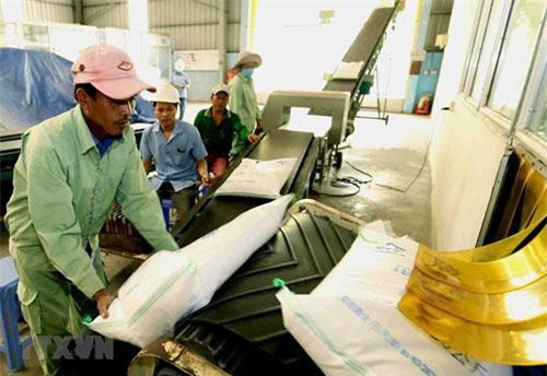 Nhu cầu yếu đẩy giá gạo Việt Nam xuống mức thấp của 12 năm