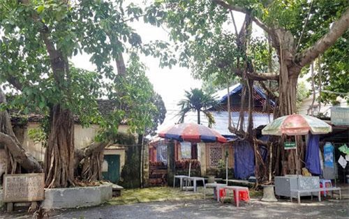 Ngôi làng lạ kì ở Hà Nội: Con gái xinh, giỏi nhưng không ai dám cưới