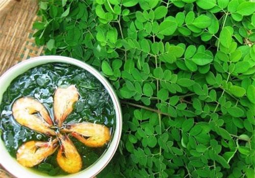 Những loại rau cực bổ nhưng mẹ bầu tuyệt đối không được động đũa kẻo