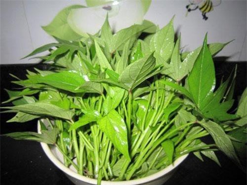 Vì sao gọi lá khoai lang là "món ăn trường thọ hàng đầu"?