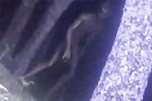 Cảnh sát Argentina chụp được ảnh “người ngoài hành tinh”