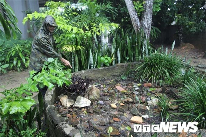 Chuyen ky bi va hai hung quanh ngoi mo nghi cua vua Le o Thanh Hoa hinh anh 4