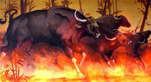 Lịch sử kỳ bí về trận đánh “trâu lửa” trong sử Việt