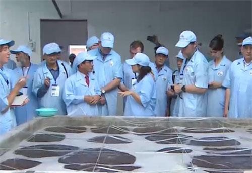 Tham quan thực tế quy trình sản xuất tôm sạch Việt Úc