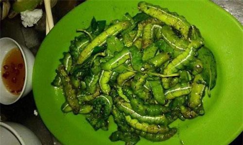 Kinh dị những món ăn đặc sản làm từ sâu ở Việt Nam